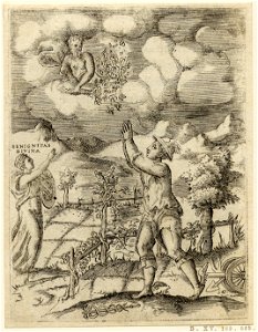 Achillis Bocchii Bonon. symbolicarum quaestionum de Universo genere quas serio ludebat (Emblems of Achilles Bocchius.) (BM H,5.47)