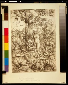 Adam and Eve in Paradise) - L.C LCCN2002695528