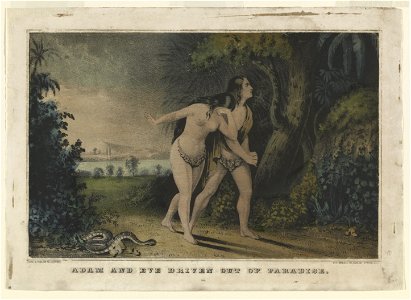 Adam and Eve Driven Out of Paradise LCCN90708414