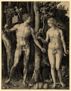 Adam and Eve LCCN2008678309