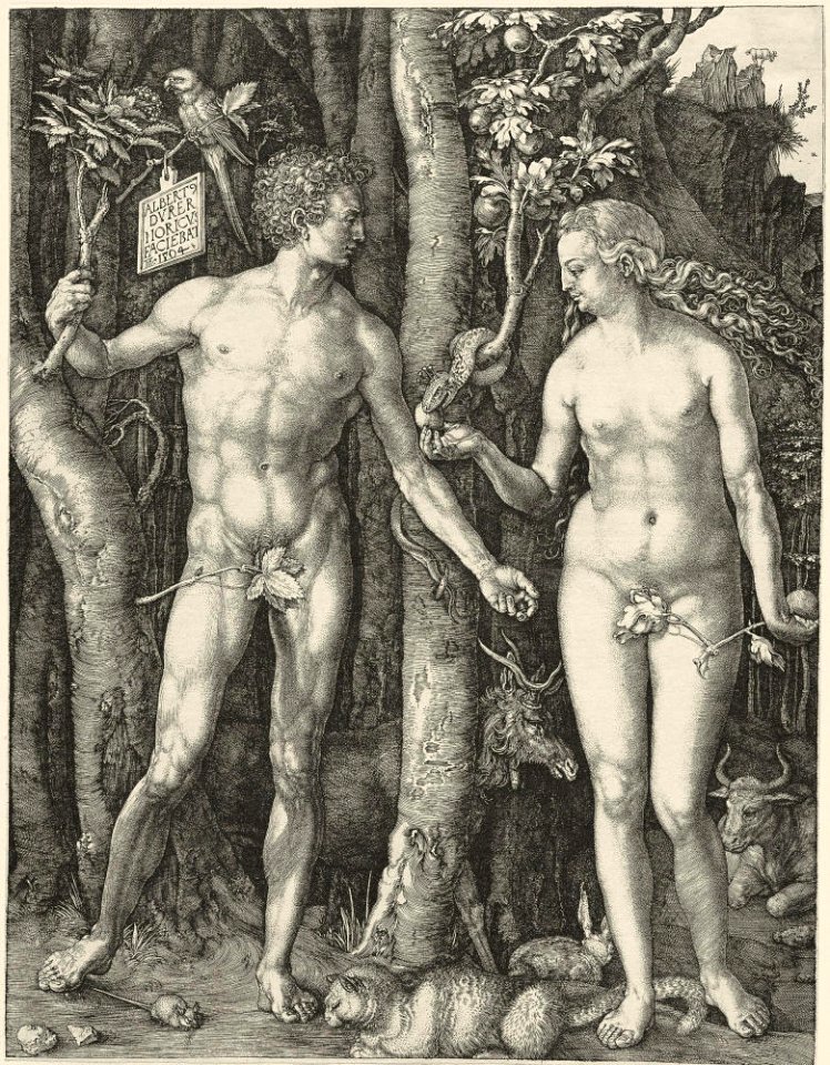 Adam Eva, Durer, 1504