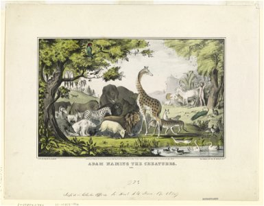 Adam naming the creatures-Adam Llamo los Animales LCCN90708416