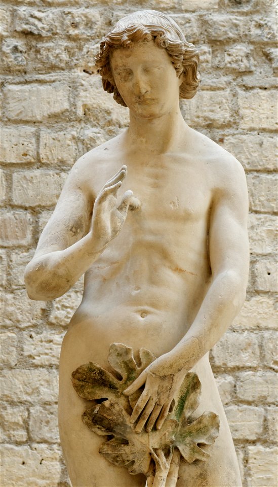 Adam Notre-Dame MNMA Cl.11657 n02