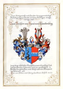 Adelsdiplom - Garainow-Trauttenberg 1907 - Wappen