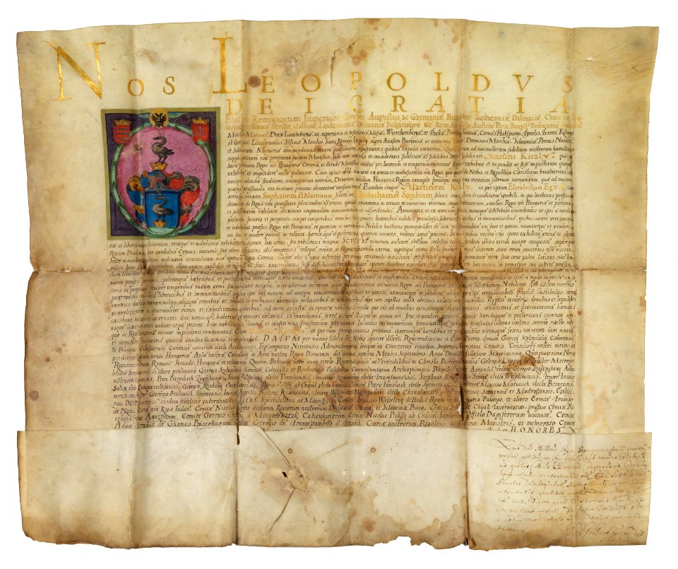 Adelsdiplom - Király 1659