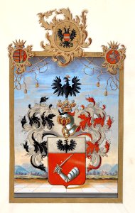 Adelsdiplom Joseph Weiß von Finkenau 1805