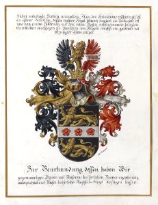 Adelsdiplom - Metz-Kaler zu Lanzenheim 1918 - Wappen