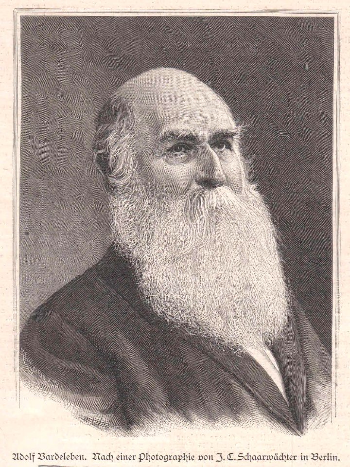 Adolf Bardeleben. Nach einer Photographie von J. C. Schaarwächter
