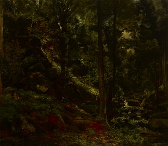 Adolf Dressler - Stream in the Woods - MNK XII-A-587 - National Museum Kraków