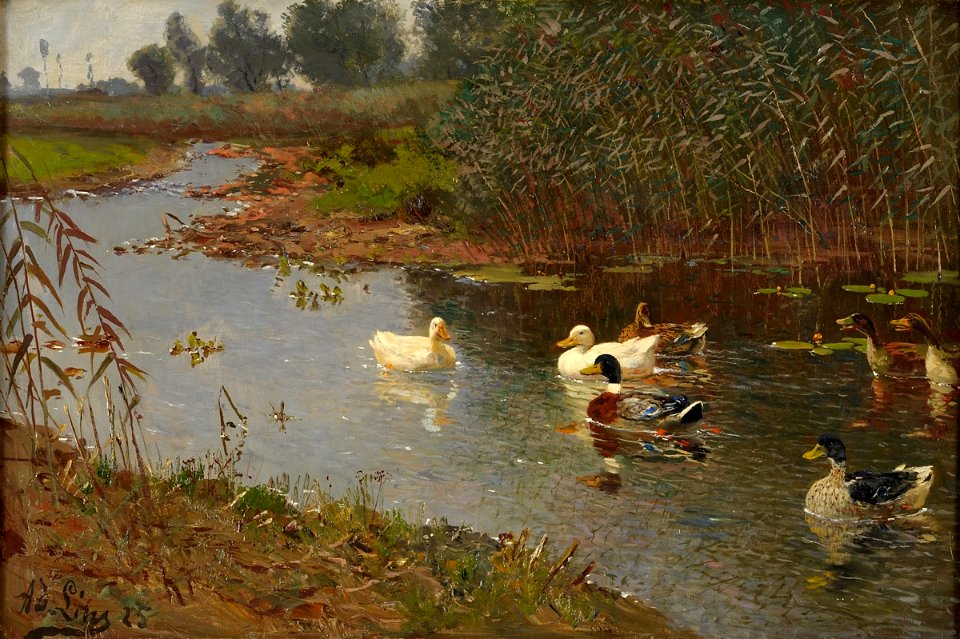 Adolf Lins Entenweiher