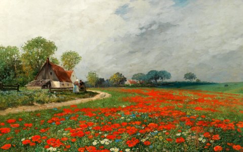 Adolf Kaufmann Mohnblumenfeld mit Margeriten