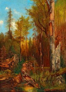 Adolf Obermüllner Aus den Forsten des Fürsten Schwarzenberg