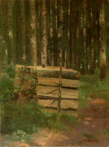 Adolf Kaufmann Holzstoss