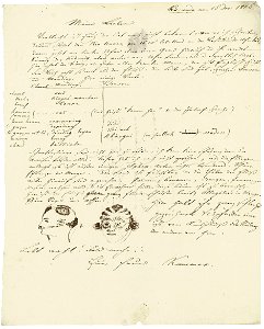 Adolph Kummer Brief aus Westafrika 1816