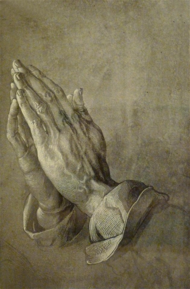 Adolphe Braun-Dürer