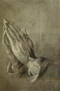 Adolphe Braun-Dürer