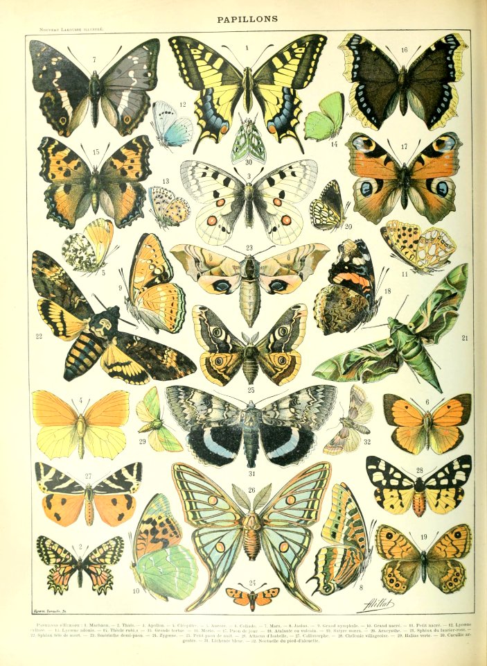Adolphe Millot papillons A