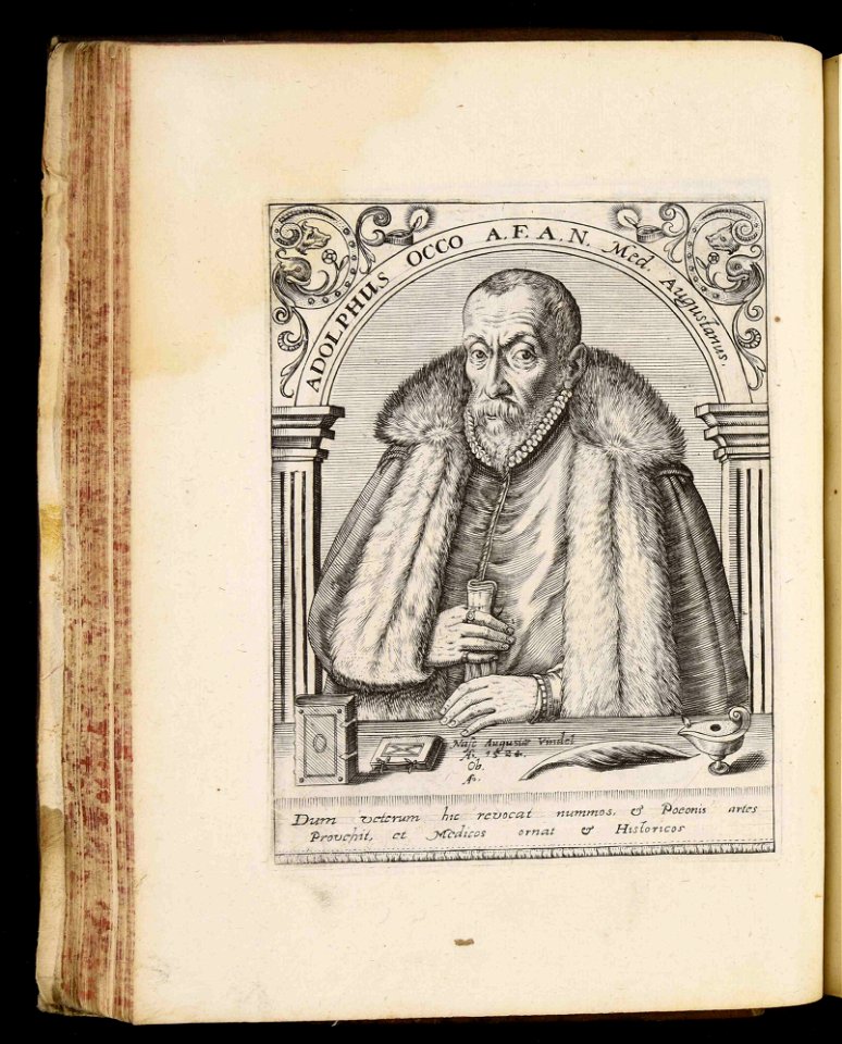 Adolphus Occo