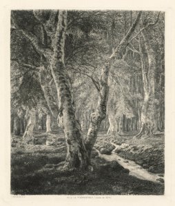 Adolphe Théodore Jules Martial Potémont (French, 1828-1883) - Bois de Pierrefonds - 2014.308 - Cleveland Museum of Art