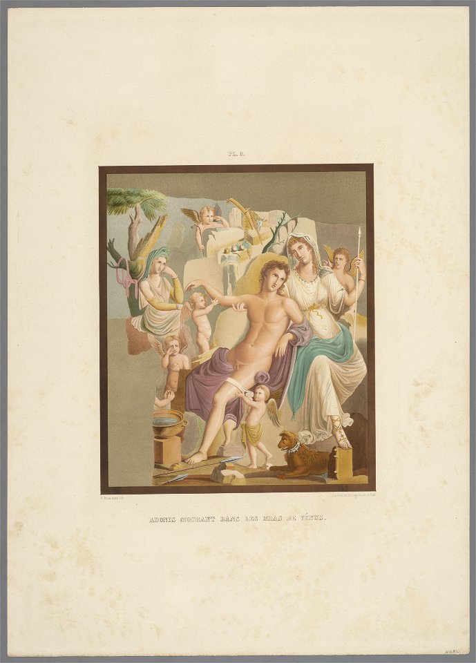 Adonis Mourant dans les bras de Vénus, objectnr A 12821