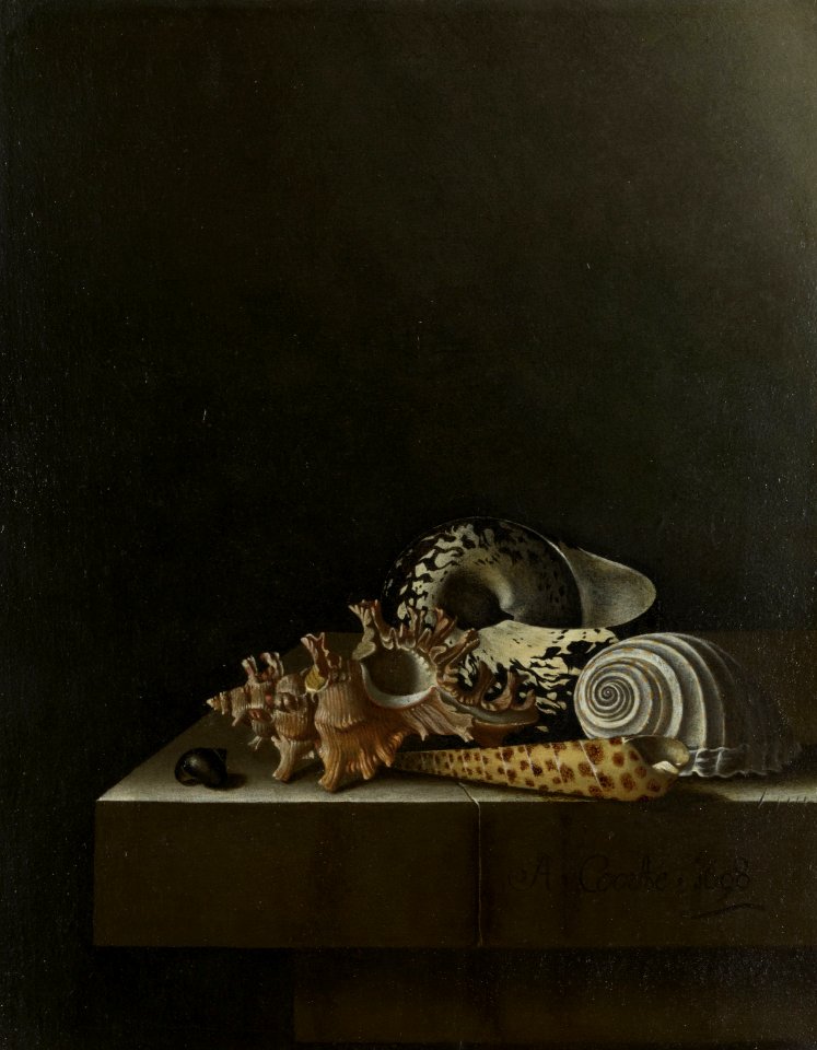 Adriaen Coorte - Schelpen op een stenen plint SK-C-1761