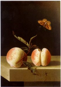 Adriaen Coorte - Two peaches and a fritillary butterfly on a stone plinth