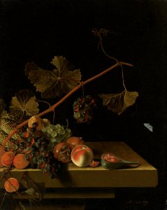 Adriaen Coorte - Grapes, Medlars, Apricots and a Fig