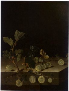 Adriaen Coorte - Still life with a spray of gooseberries - Kassel. Free illustration for personal and commercial use.