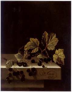 Adriaen Coorte - Black Currants