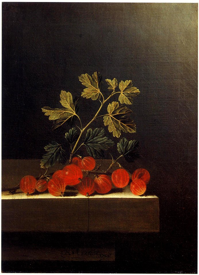 Adriaen Coorte - Red Gooseberries on a Stone Plinth