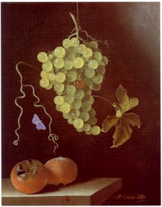 Adriaen Coorte - Still life with hanging bunch of grapes, two medlars and a butterfly