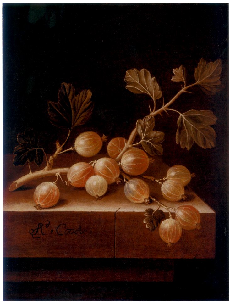 Adriaen Coorte - Gooseberries