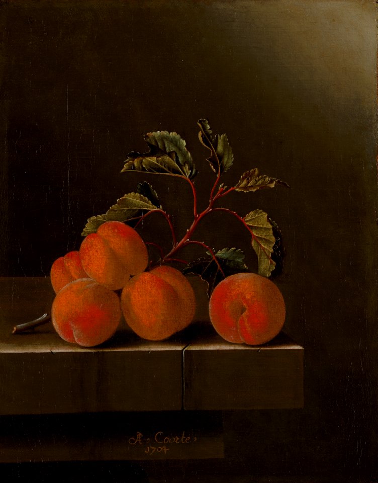 Adriaen Coorte - Still Life with Five Apricots - 1154 - Mauritshuis