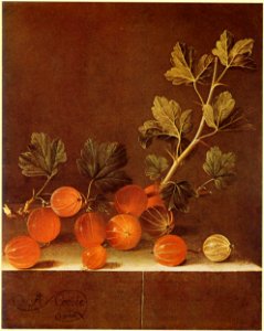 Adriaen Coorte - Spray of Gooseberries on a Stone Plinth - 1700