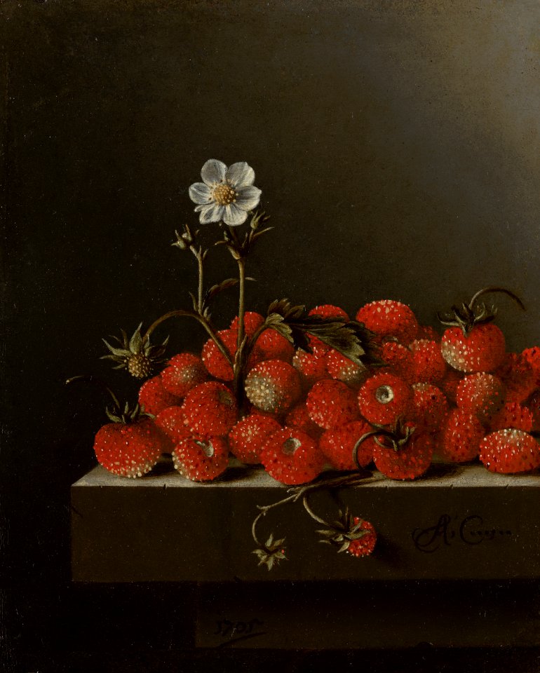Adriaen Coorte - Still Life with Wild Strawberries - 1106 - Mauritshuis