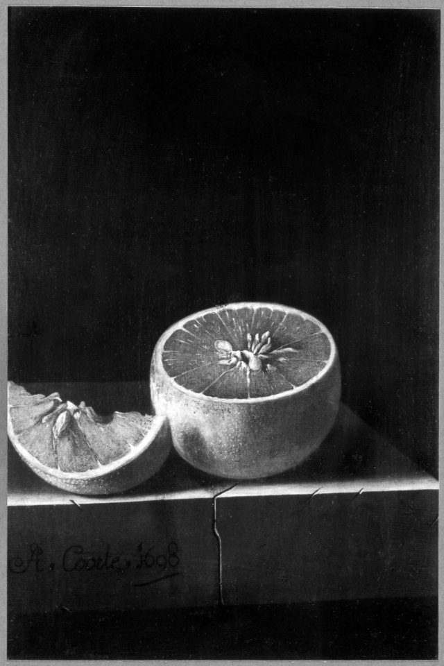 Adriaen Coorte - A Sliced Orange on a Stone Plinth - 1700