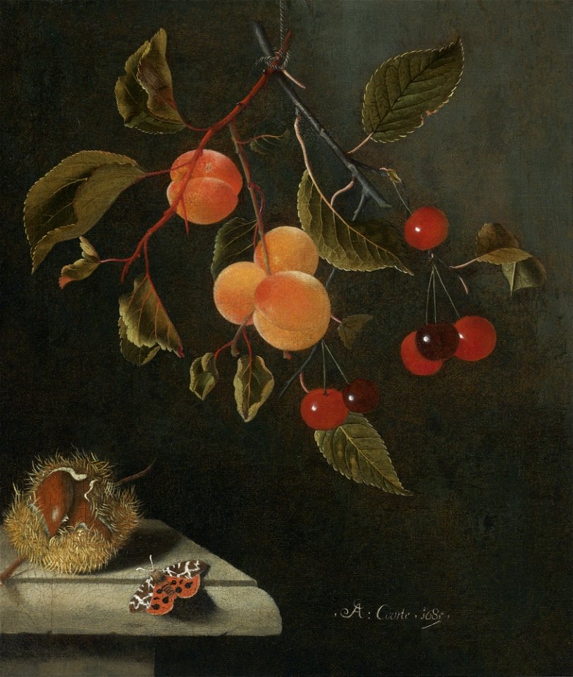 Adriaen Coorte - Stilleven met een vlinder, abrikozen, kersen en een kastanje