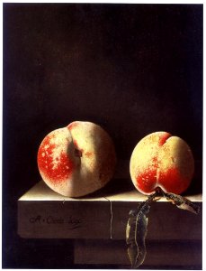 Adriaen Coorte - Two Peaches