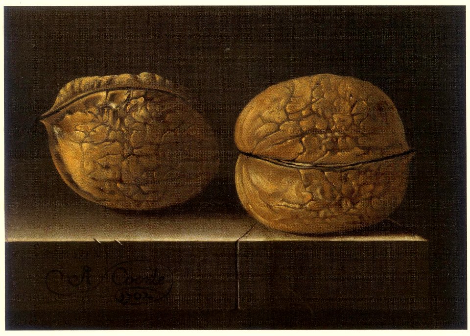 Adriaen Coorte - Two Walnuts