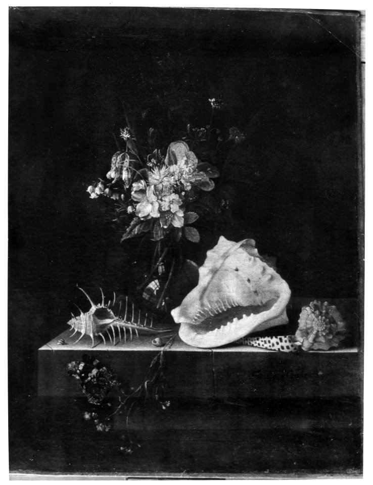 Adriaen Coorte - Still life with flowers, shells and a butterfly