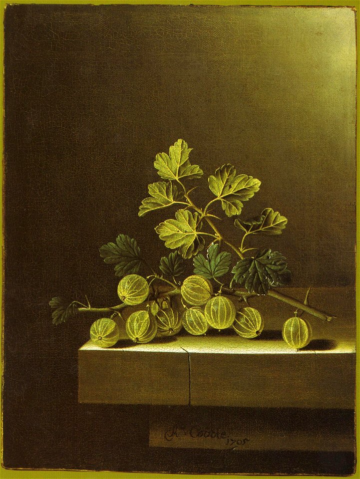 Adriaen Coorte - Green Gooseberries on a Stone Plinth