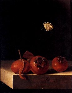 Adriaen Coorte - Three Medlars with a Butterfly - WGA05210. Free illustration for personal and commercial use.