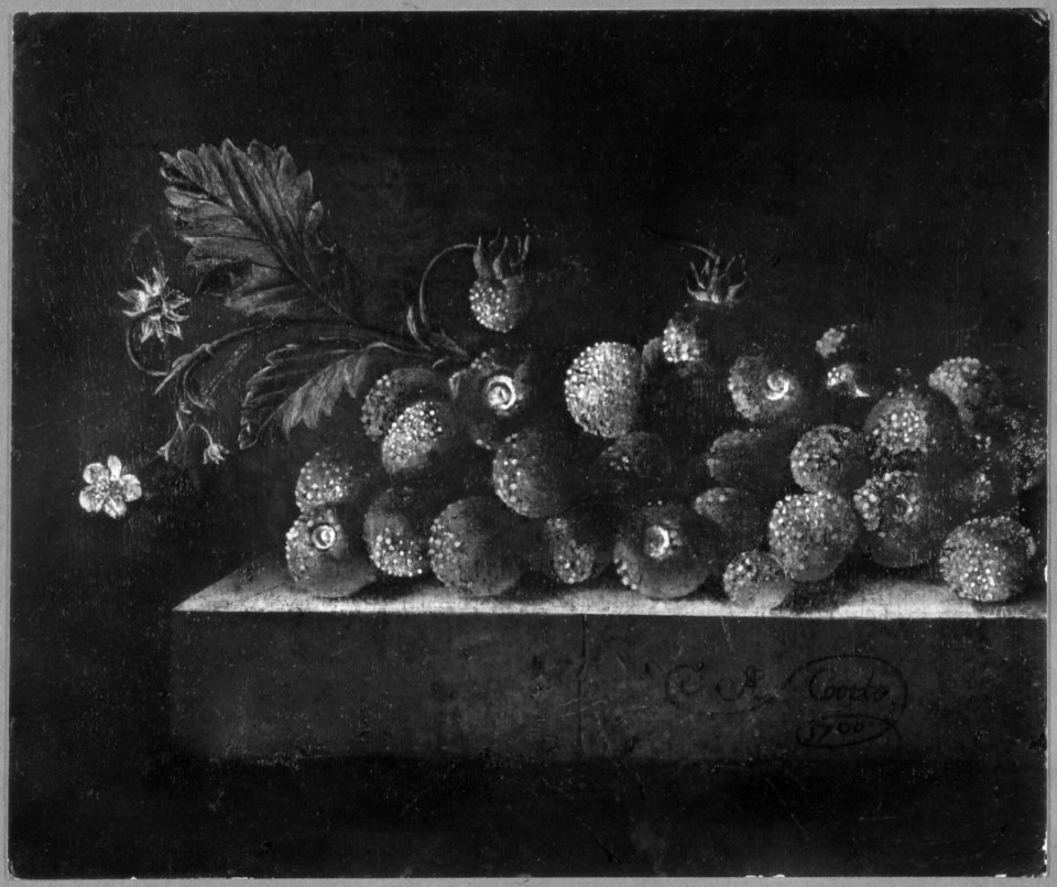 Adriaen Coorte - Strawberries on a Stone Plinth - 1700