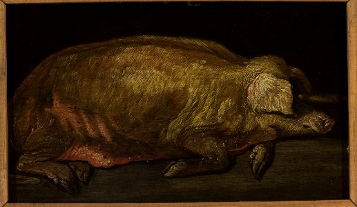Adriaen Verdoel - Sleeping pig - M.Ob.350 - National Museum in Warsaw