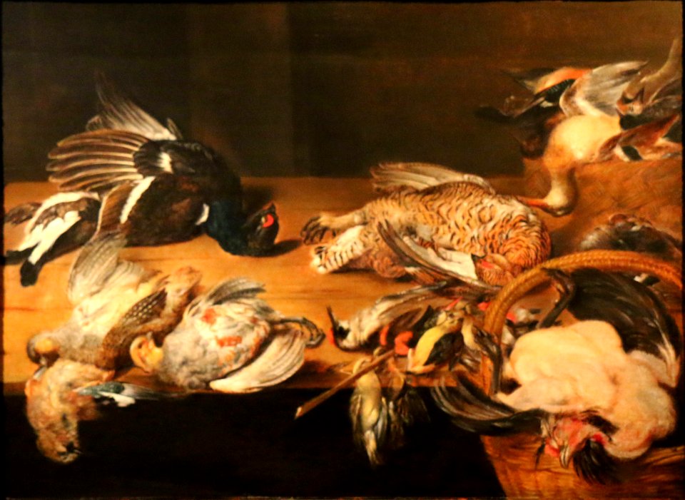 Adriaenssen-Rubenshuis-oiseaux