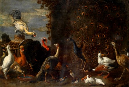 Adriaen van Utrecht (circle) Hühnerhof mit Pfau Truthahn und Enten