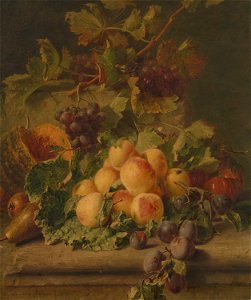 Adriana Johanna Haanen - Vruchten - SA 1247 - Amsterdam Museum