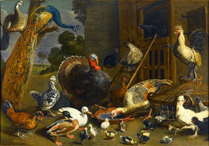 Adriaen van Utrecht - Variety of birds including a peacock, turkey, chickens, and ducks with their young drinking, playing and pecking about in a yard