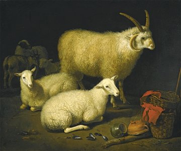 Aelbert Cuyp - Barn Interior with Sheep 057L11034 62RNY