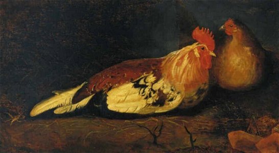 Aelbert Cuyp - Een haan en een hen - 1135 (OK) - Museum Boijmans Van Beuningen